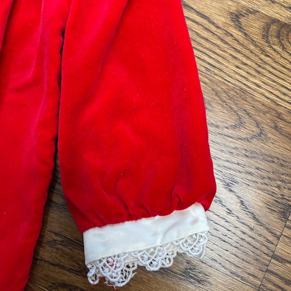 Vintage Union Made Rare Editions Velvet Holly Dress - Picture 6 of 15